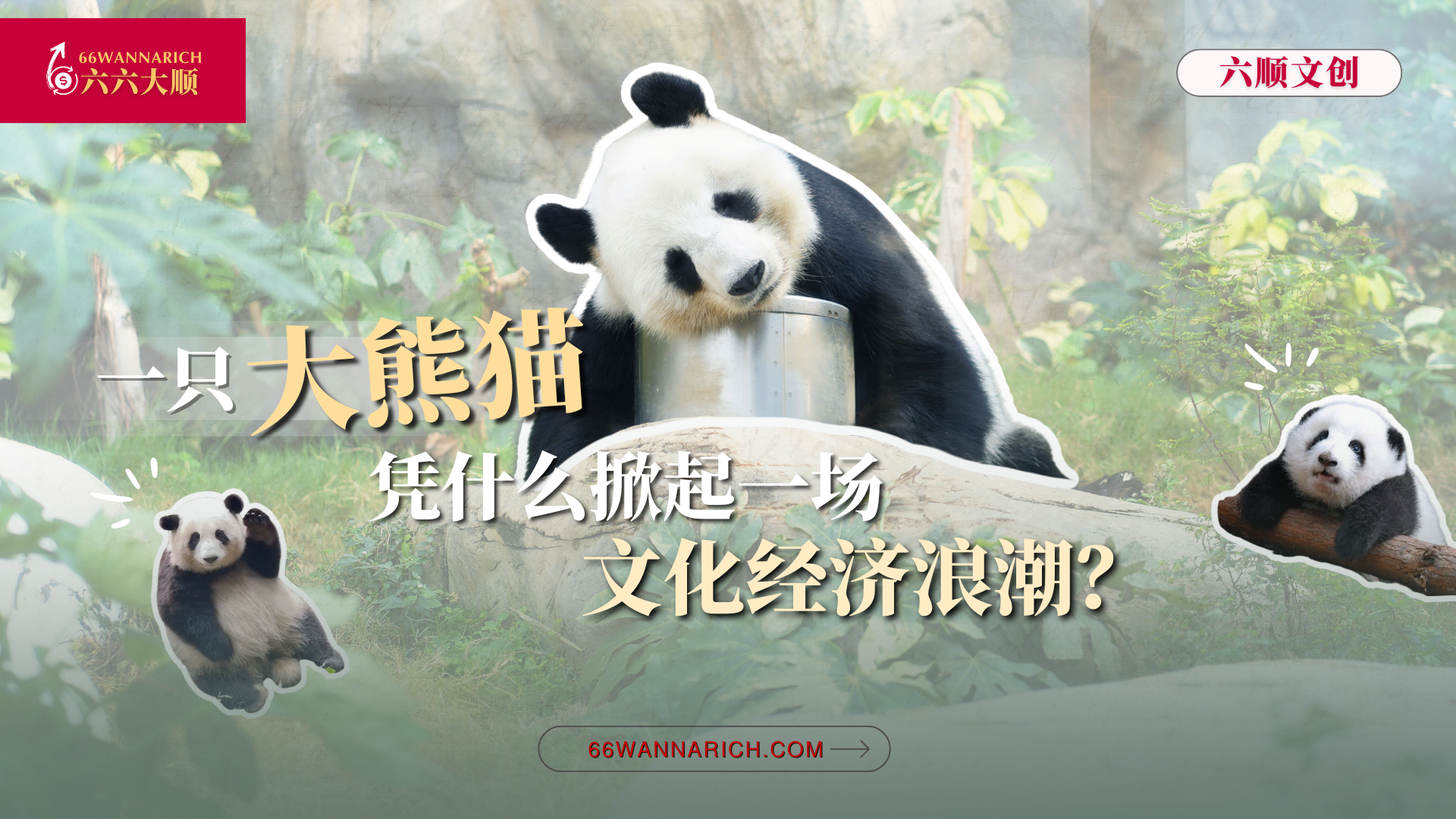 从国宝到文创帝国：大熊猫如何成为文化符号与创意引擎？